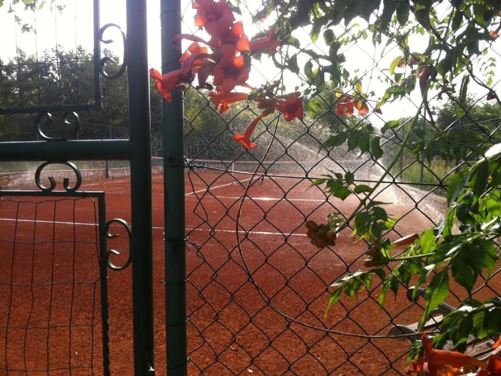 Villa In Funtana With Private Tenniscourt Εξωτερικό φωτογραφία